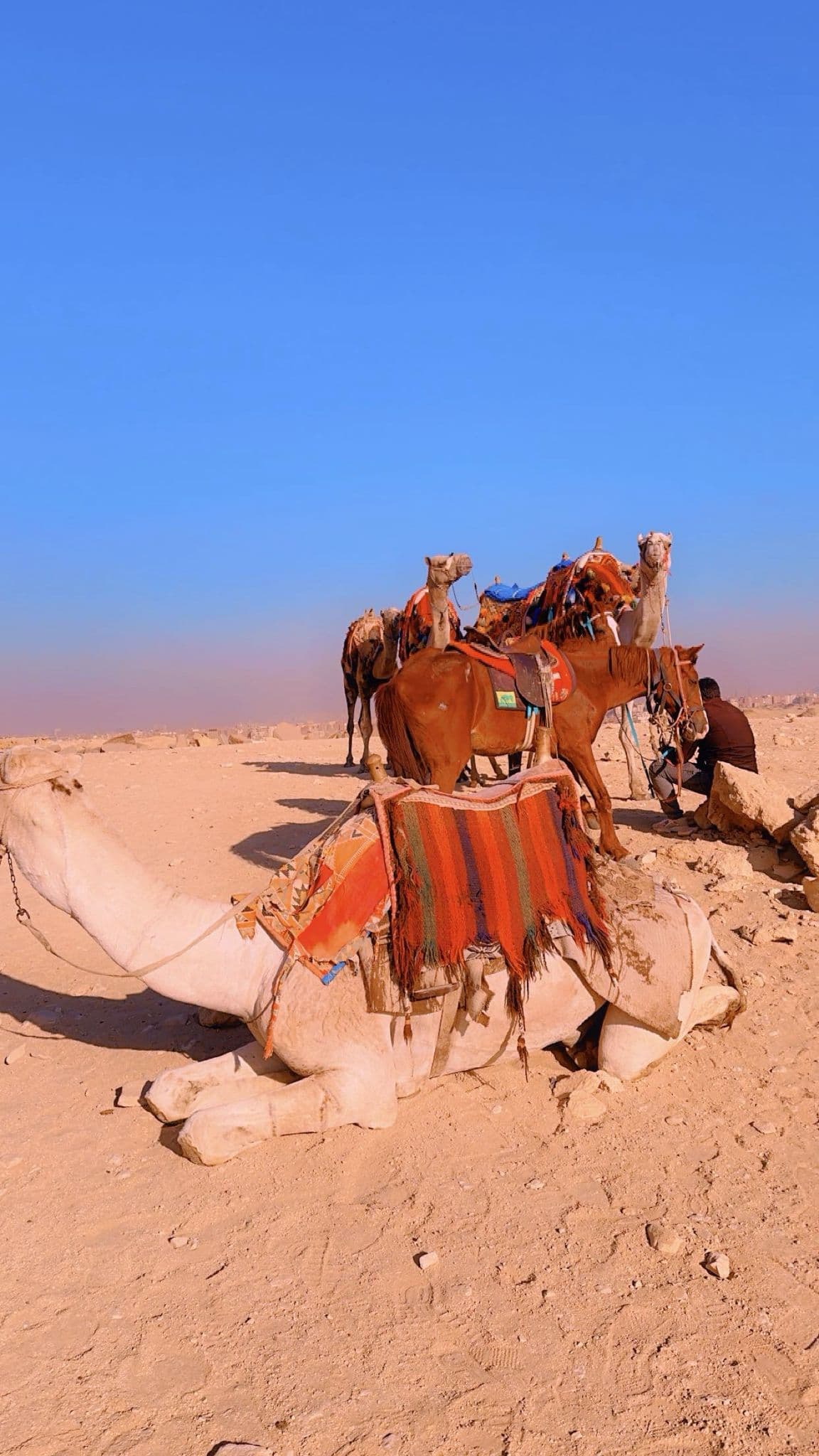 Caravans across the sand