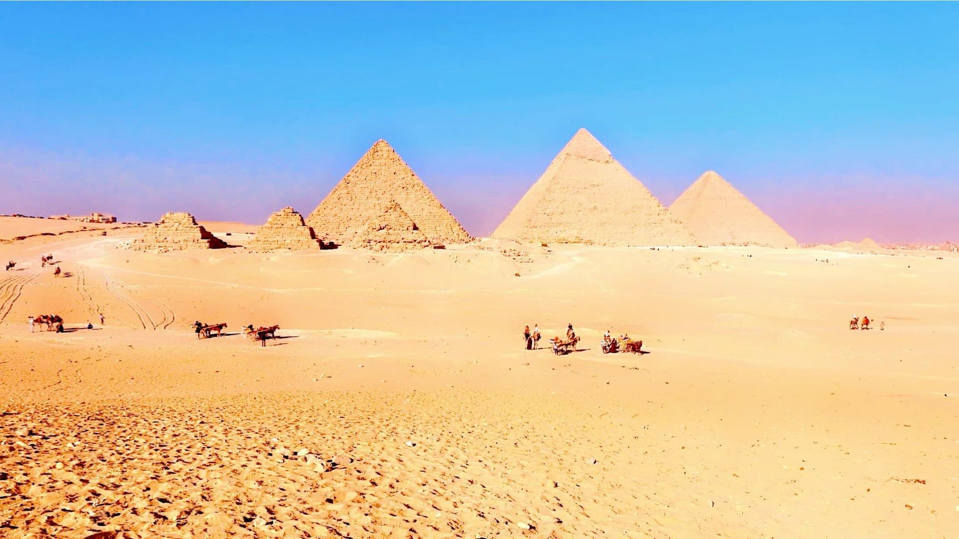 Live search results across a real destination